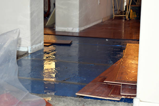 Professional Flood Cleanup technician working in Harwood, TX